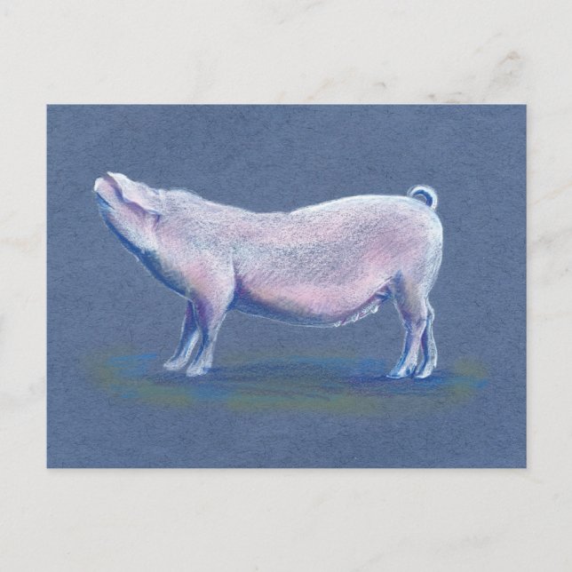 Carte postale de porc dessinée à la main (Devant)