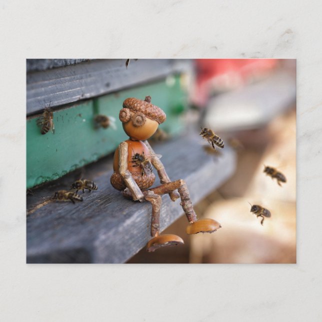 Carte postale de printemps de l'apiculteur de maïs (Devant)
