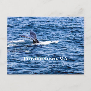 Carte postale de Provincetown
