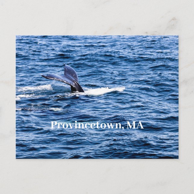 Carte postale de Provincetown (Devant)