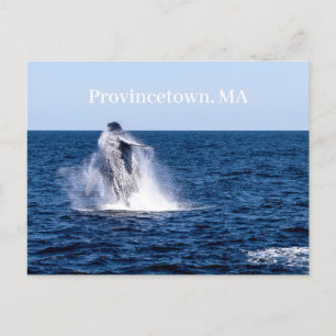 Carte postale de Provincetown