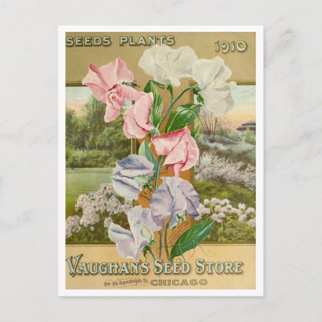 Carte postale de publicité de graines anciennes (Devant)