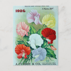 Carte postale de publicité de graines anciennes