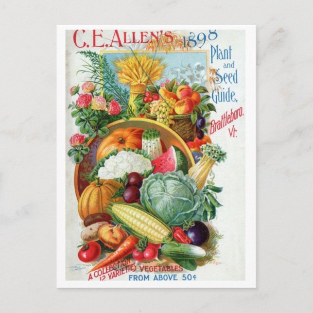 Carte postale de publicité de graines anciennes (Devant)