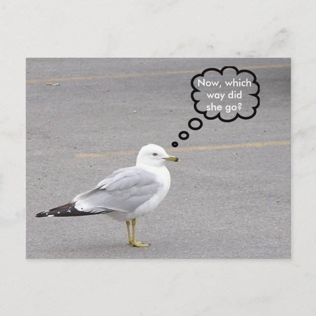 Carte Postale De quelle façon ? (Devant)