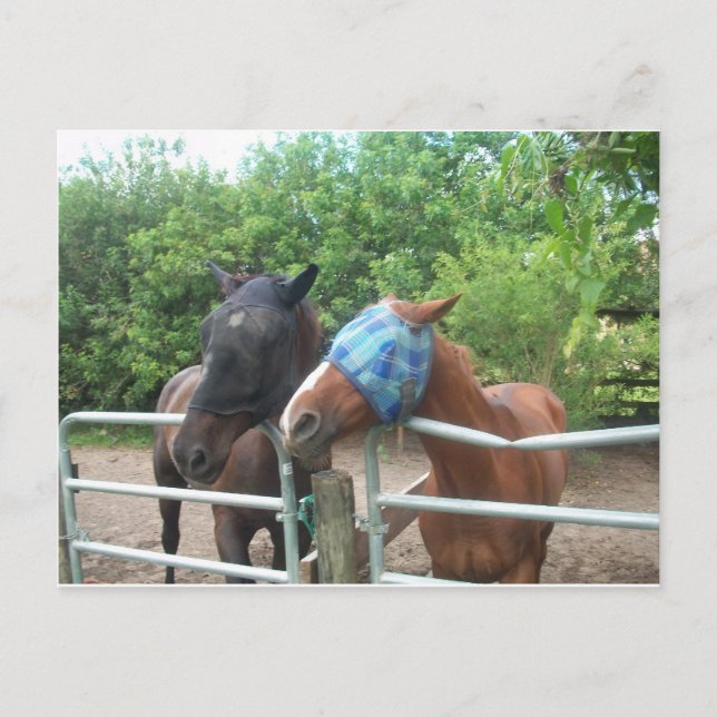 Carte Postale De quelle façon est-il allé ? (Devant)