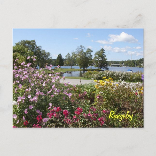 Carte postale de Rangeley Lakes (Devant)