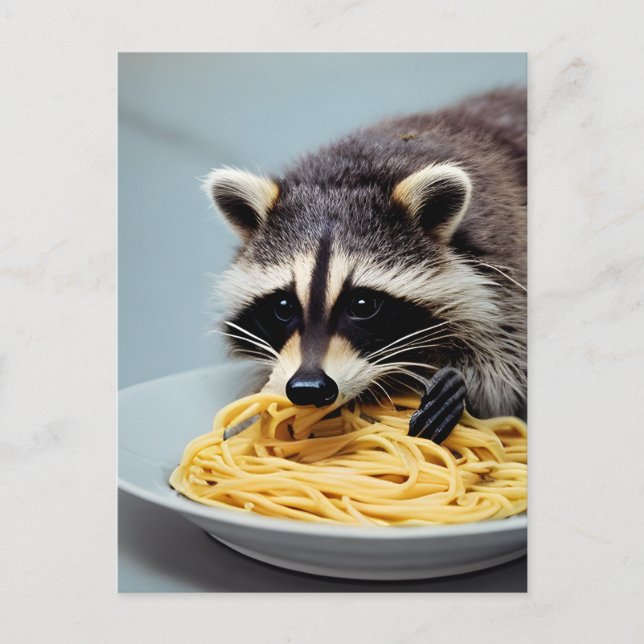 Carte postale de raton laveur mangeant des spaghet (Devant)
