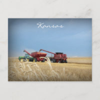 Carte postale de récolte de blé Kansas