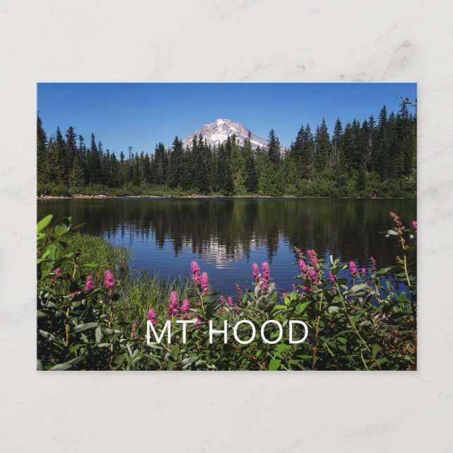 Carte postale de réflexion du lac Mount Hood (Devant)