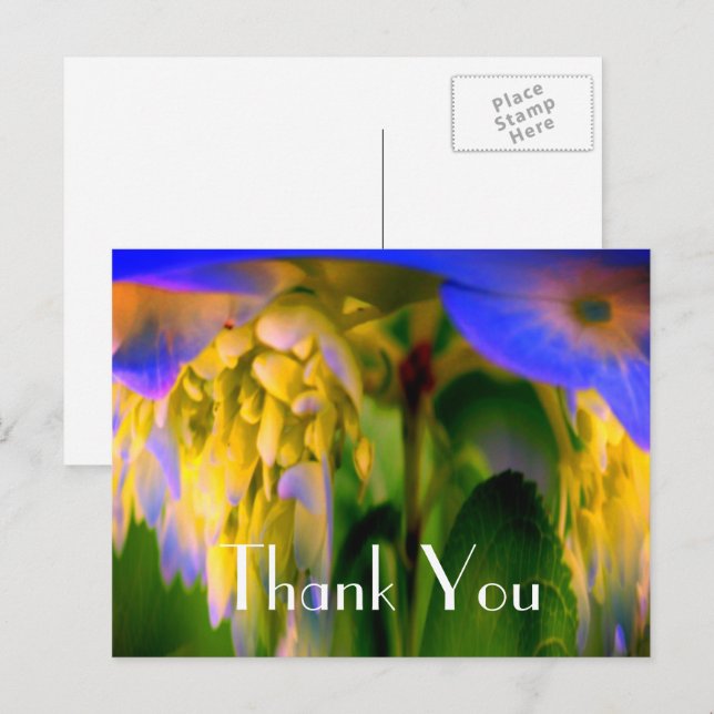 Carte postale de remerciement à motif floral abstr (Devant / Derrière)