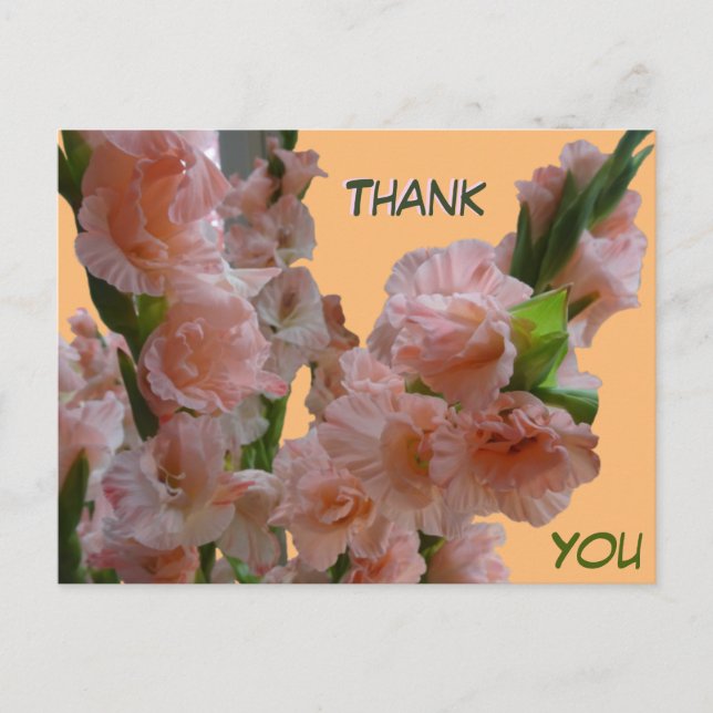 Carte postale de remerciement aux Glaïeuls Rose Or (Devant)