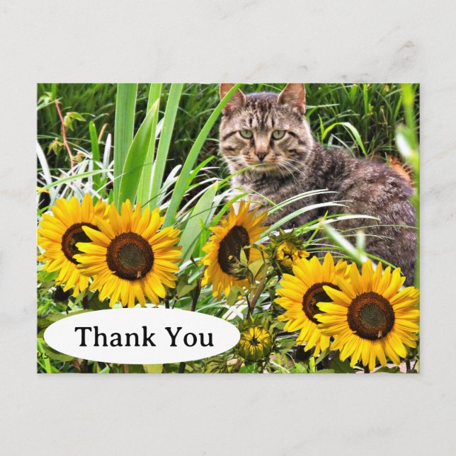 Carte postale de remerciement avec un chat mignon  (Devant)