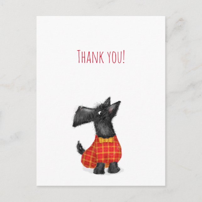Carte postale de remerciement de chien Scottie (Devant)