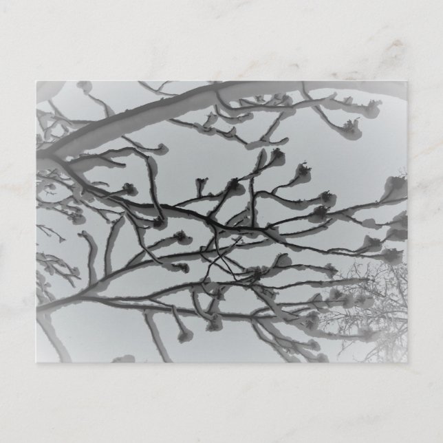 Carte postale de rêve hivernal (Devant)