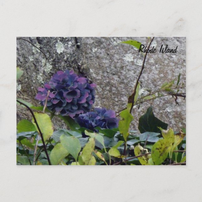 Carte postale de Rhode Island (Devant)