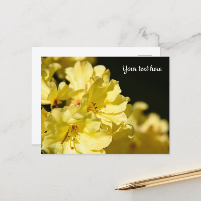 Carte postale de Rhododendron jaune (Devant/Arrière en situation)