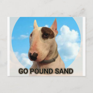 Carte postale de sable