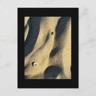 Carte postale de sable et d'ombre Shell