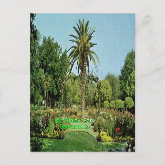 Carte postale de Sacramento de parc de Mc Kinley (Devant)