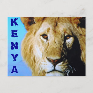 Carte postale de safari au Kenya