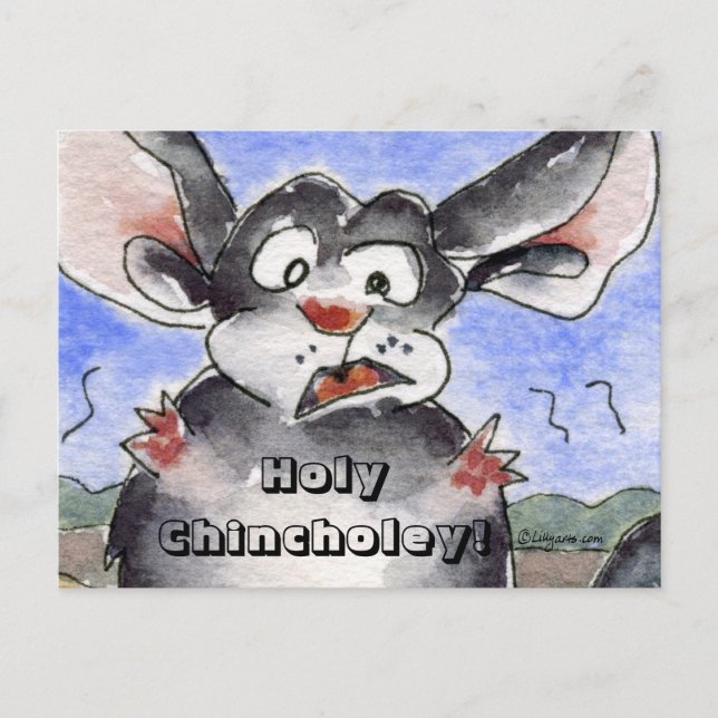 Carte postale de Saint-Chincholey (Devant)