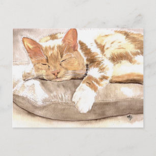 Carte postale de sieste de chat