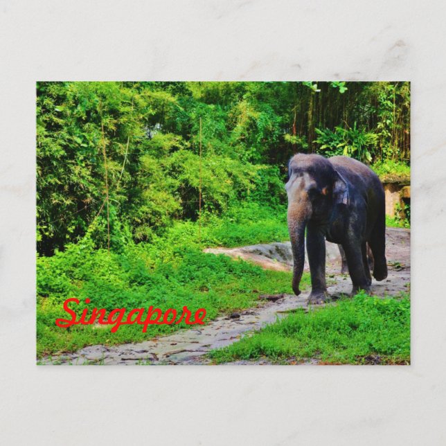 Carte postale de Singapour (Devant)