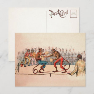 Carte postale de singes de boxe victorienne