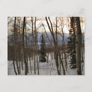 Carte postale de soirée d'hiver