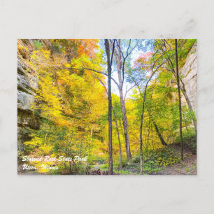 Carte postale de Starved Rock