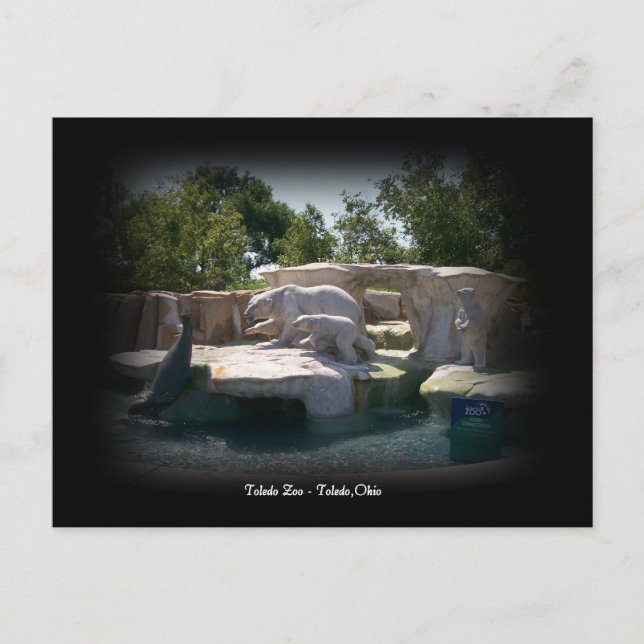 Carte postale de statue d'ours blanc de zoo de (Devant)