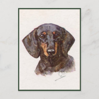 Carte Postale De Style vintage Avec Beau Dachshund