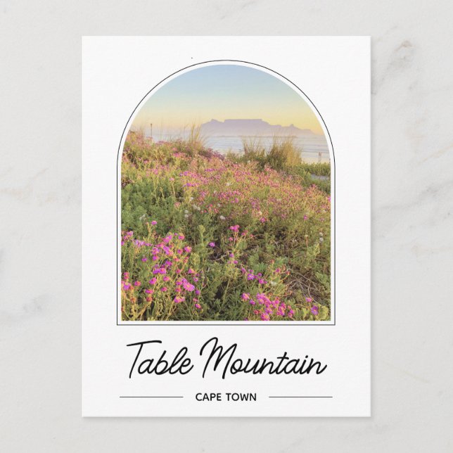 Carte postale de Table Mountain Le Cap Afrique du  (Devant)