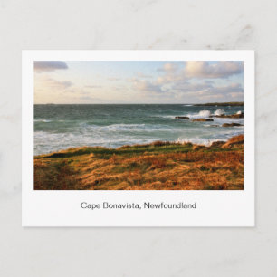 Carte postale de Terre-Neuve
