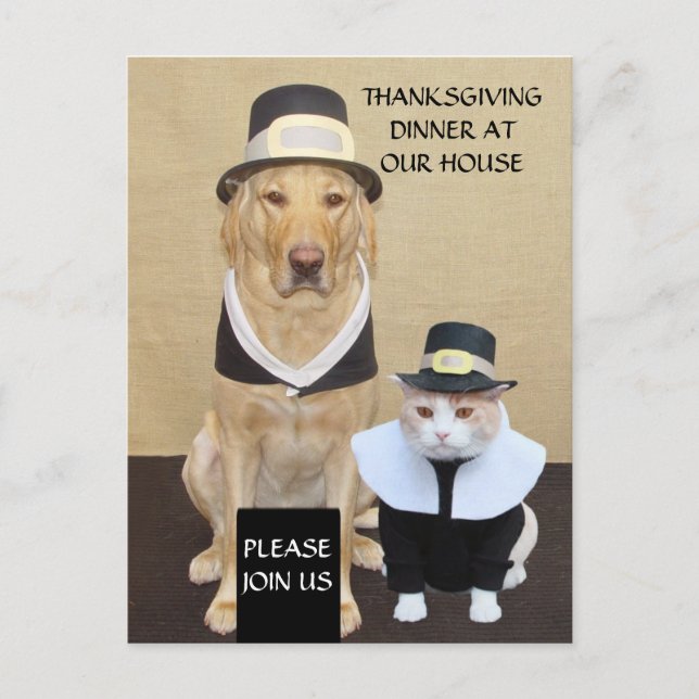 Carte postale de Thanksgiving/Invitation (Devant)