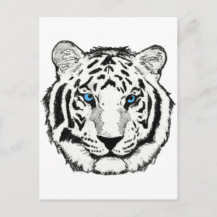 Carte postale de tigres blancs