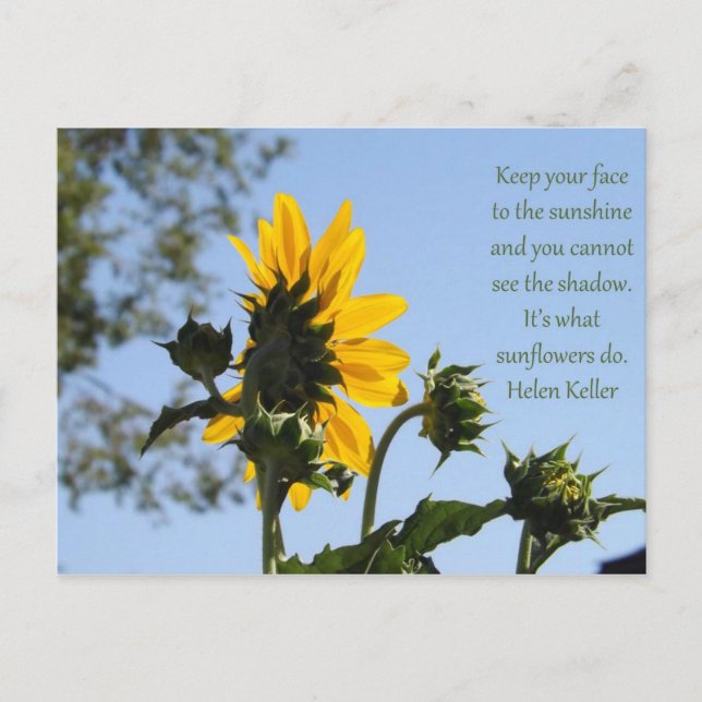 Carte postale de tournesol d'inspiration (Devant)