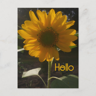 Carte postale de tournesol gaie