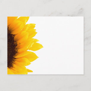 Carte postale de tournesol par Petr Kratochvil