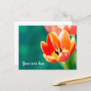 Carte postale de tulipe orange unique