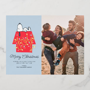 Carte Postale De Vacances En Aluminium cacahuètes   Snoopy's Holiday Dreamer Family Photo