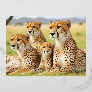 Carte Postale De Vacances En Aluminium Cheetah Animal Nature Faune Affection Soin