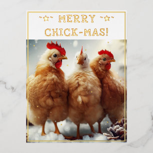 Carte Postale De Vacances En Aluminium Citation de Noël drôle mignonne Fun Chicks Photogr