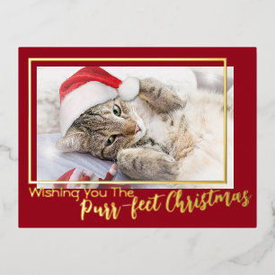 Carte Postale De Vacances En Aluminium Je Vous Souhaite La Purr-fect Christmas Cat 2 Phot