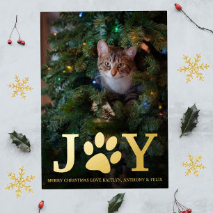 Carte Postale De Vacances En Aluminium Joie de Noël   Photo pour animaux de compagnie - V