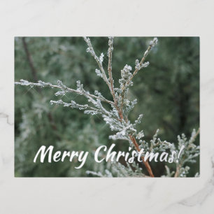 Carte Postale De Vacances En Aluminium Joyeux Noël Étincelant Frost Branche À feuillage p