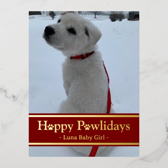 Carte Postale De Vacances En Aluminium Joyeux Pawlidays (Recto)