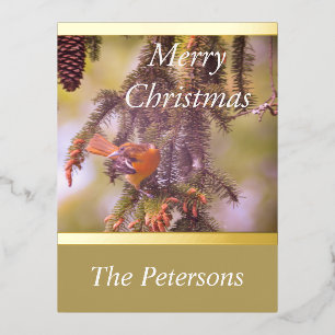 Carte Postale De Vacances En Aluminium LavishlyOn Monogramme Red Bird Pine Tree Branche