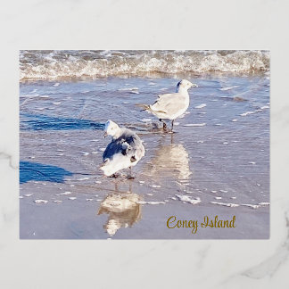 Carte Postale De Vacances En Aluminium Mouettes de Coney Island